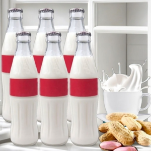 6 bottles Plant based protein drink